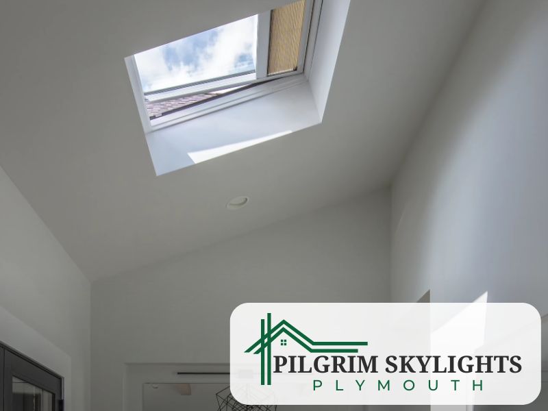 Plymouth PL4 Skylights Devon